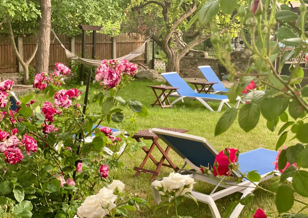 바마베체 Vamabel House B&B 외부 사진
