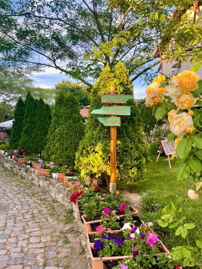 바마베체 Vamabel House B&B 외부 사진