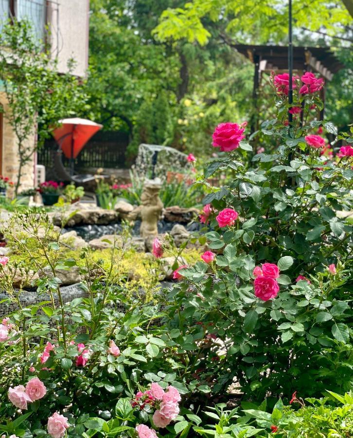 바마베체 Vamabel House B&B 외부 사진