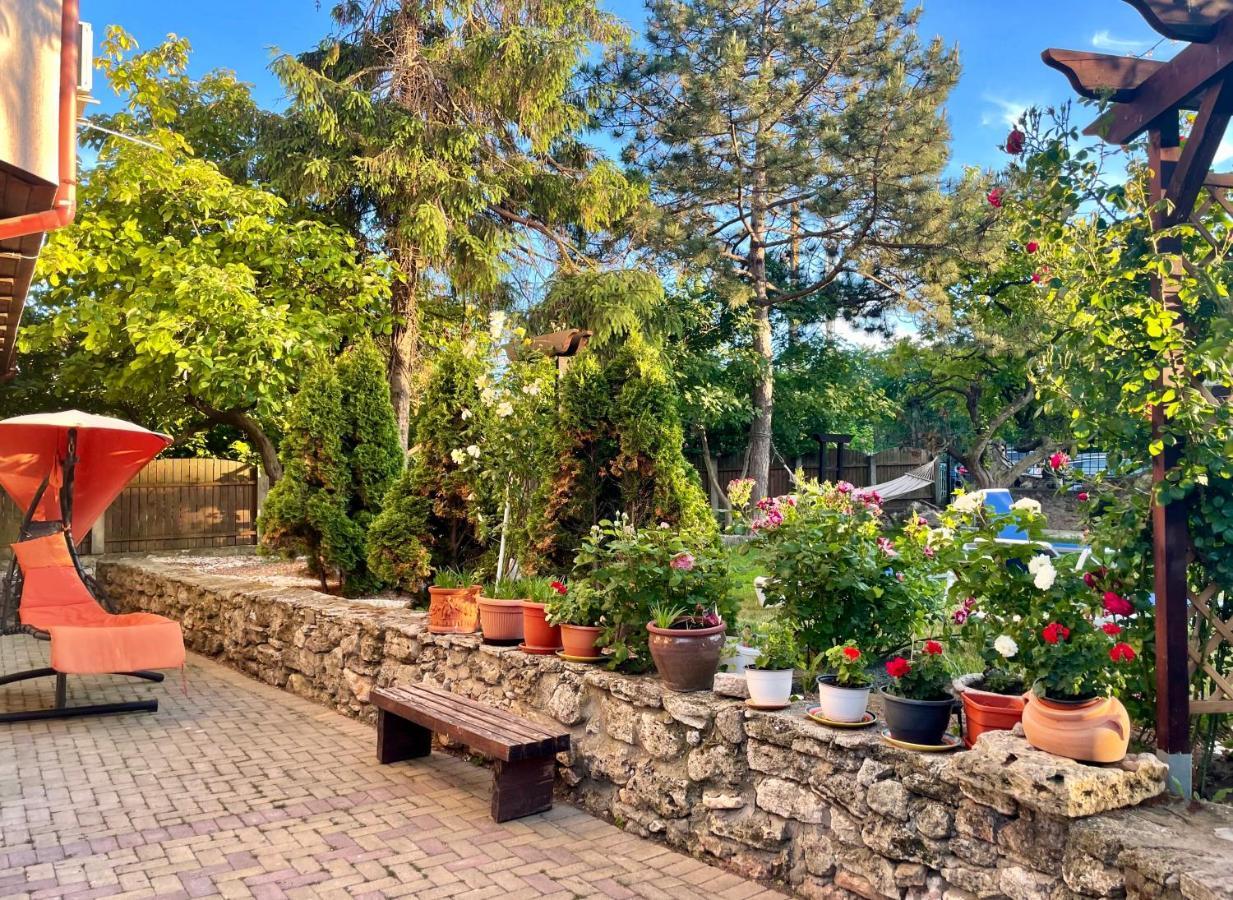 바마베체 Vamabel House B&B 외부 사진