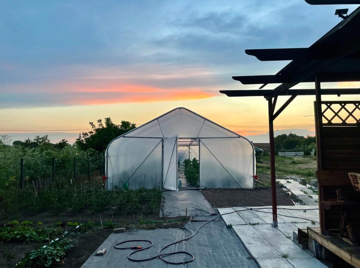 바마베체 Vamabel House B&B 외부 사진