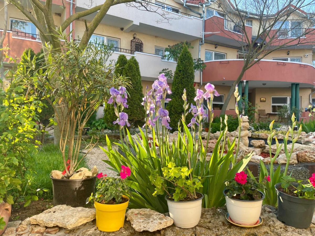 바마베체 Vamabel House B&B 외부 사진
